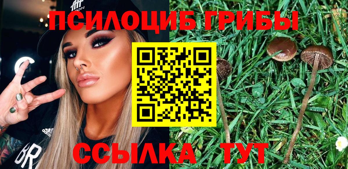 Удомля  магазин продажи наркотиков  Вход с VPN  Псилоцибиновые грибы GOLDEN TEACHER 